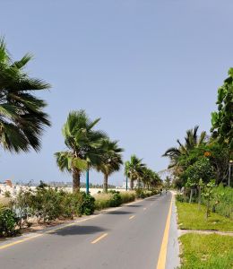 Beach Garden