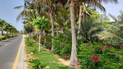 Beach Garden