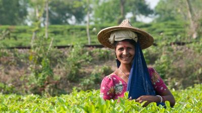 Bengali Tea