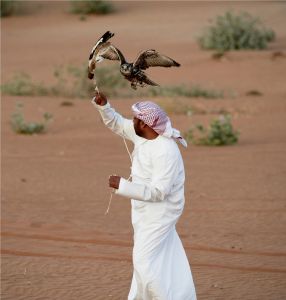 Dubai's Breeze