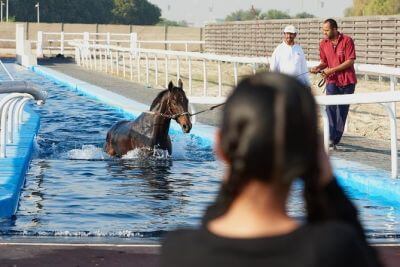 Dubai's Breeze