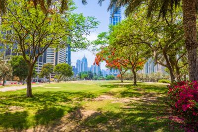 Dubai's City Centre