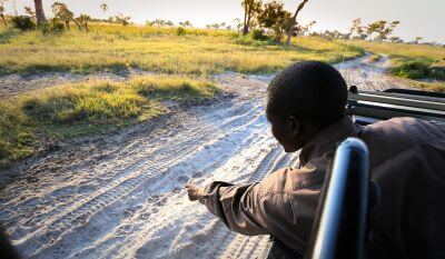 From VicFalls to Okavango