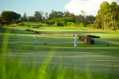 Golf and Roses