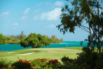 Golf and Roses