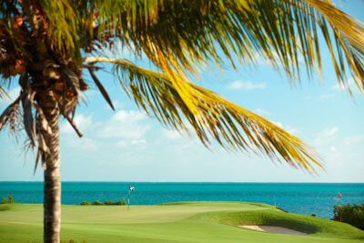 Golf and Roses