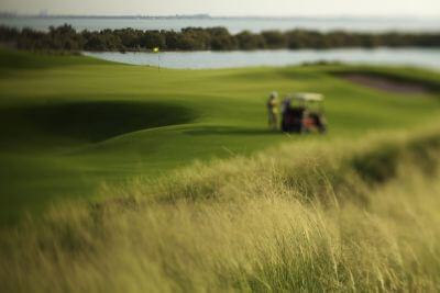 Golf and Vitamin Sea