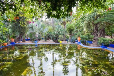 Golfing Paradise in Marrakech