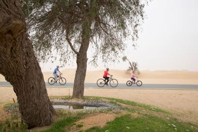 Incredible Dune Oasis