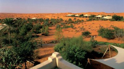 Incredible Dune Oasis