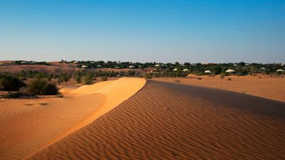 Incredible Dune Oasis