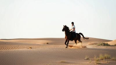 Incredible Dune Oasis