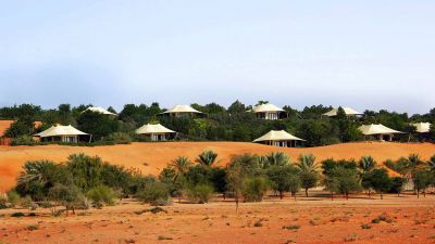 Incredible Dune Oasis