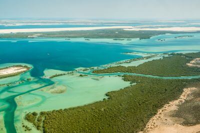 Incredible Dune Oasis