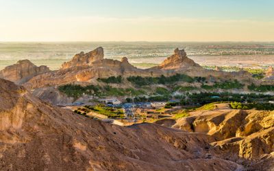 Incredible Dune Oasis