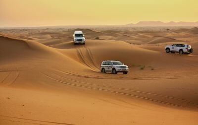 Incredible Dune Oasis