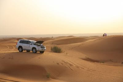 Incredible Dune Oasis