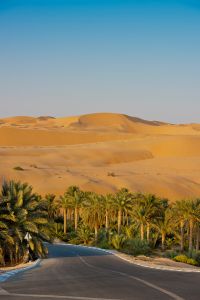 Incredible Dune Oasis