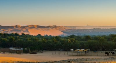 Incredible Dune Oasis