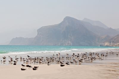 Omani Fishermen