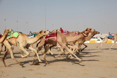 On the waves of Bahrain