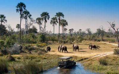 Picturesque Botswana