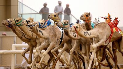 Playful Dubai