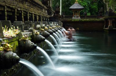 Safari in Bali