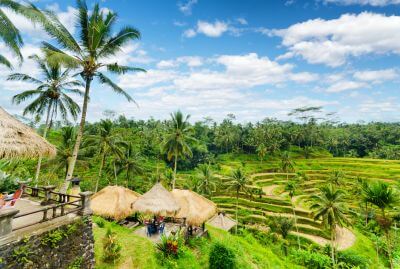 Safari in Bali