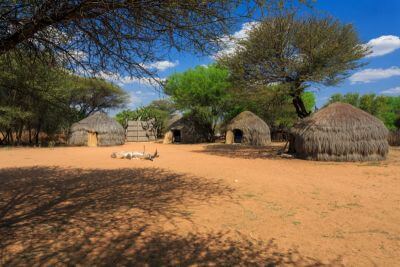 Safari with Rhinoes