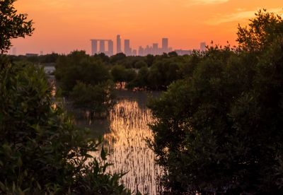 Sea Skyline