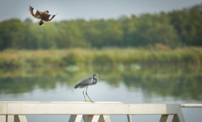 Smooth Landing