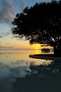 Thai Touch in Maldives