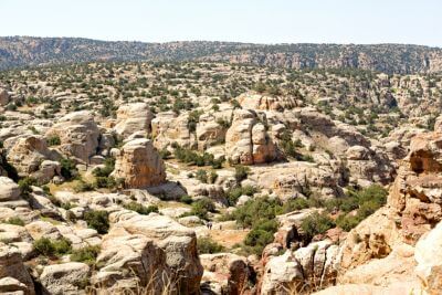 The Bedouin Village