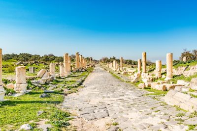 The Hanging Gardens of Babylon