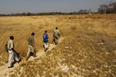 The Land of Wild Sage