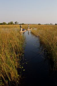 The Land of Wild Sage